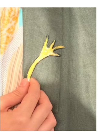Broche Amanhecer